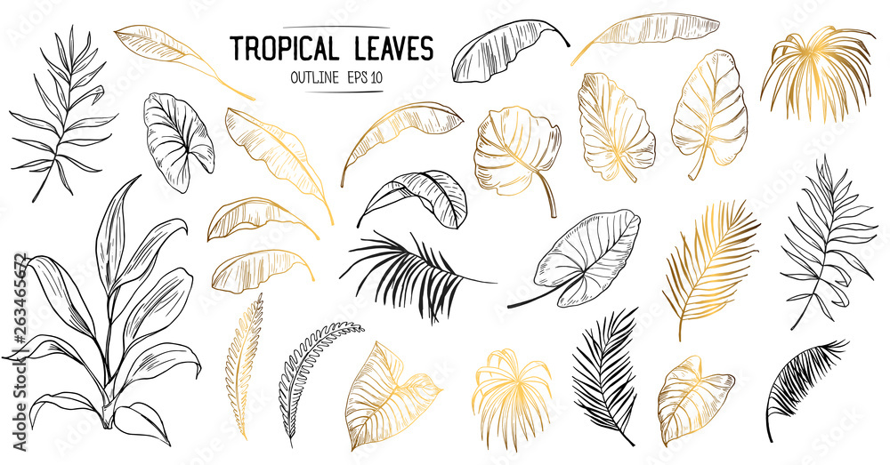 Set of tropical leaves. Hand drawn sketches traced in vector - obrazy, fototapety, plakaty 
