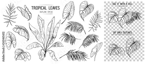 Set of tropical leaves. Hand drawn sketches traced in vector photo