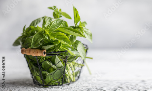 Fresh basil on a stone and dark background. Green basil. Food background. Basil plant for healthy cooking