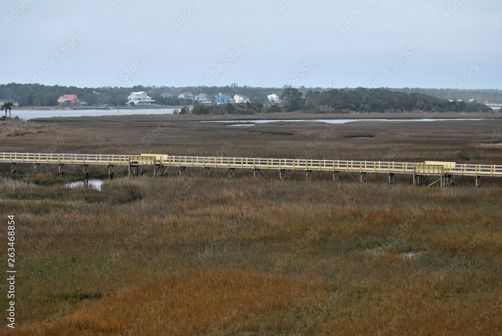 Scenic view of Marsh Land with a Wooden Walkway Scenic view of Marsh Land with a Wooden Walkway