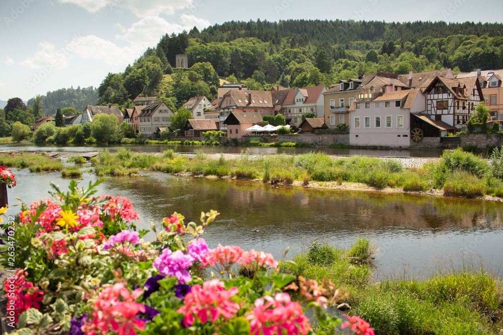 Obraz premium Black forest river view