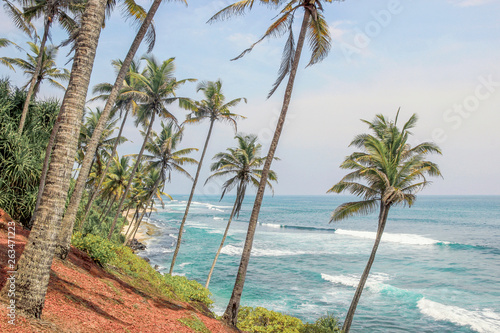 seascape with palm trees at coconut tree hill in Mirissa  Sri Lanka 