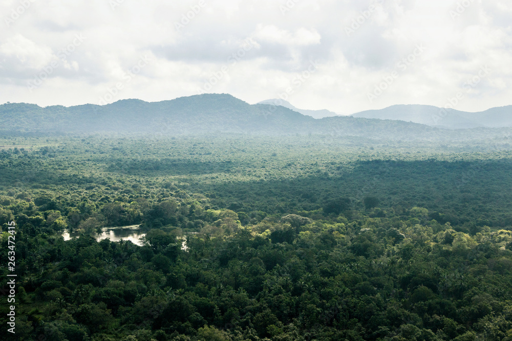 aerial view forest landscape at lion rock Sigiriya in Sri Lanka 