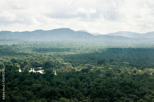 aerial view forest landscape at lion rock Sigiriya in Sri Lanka 