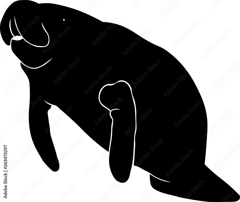 Manatee Silhouette