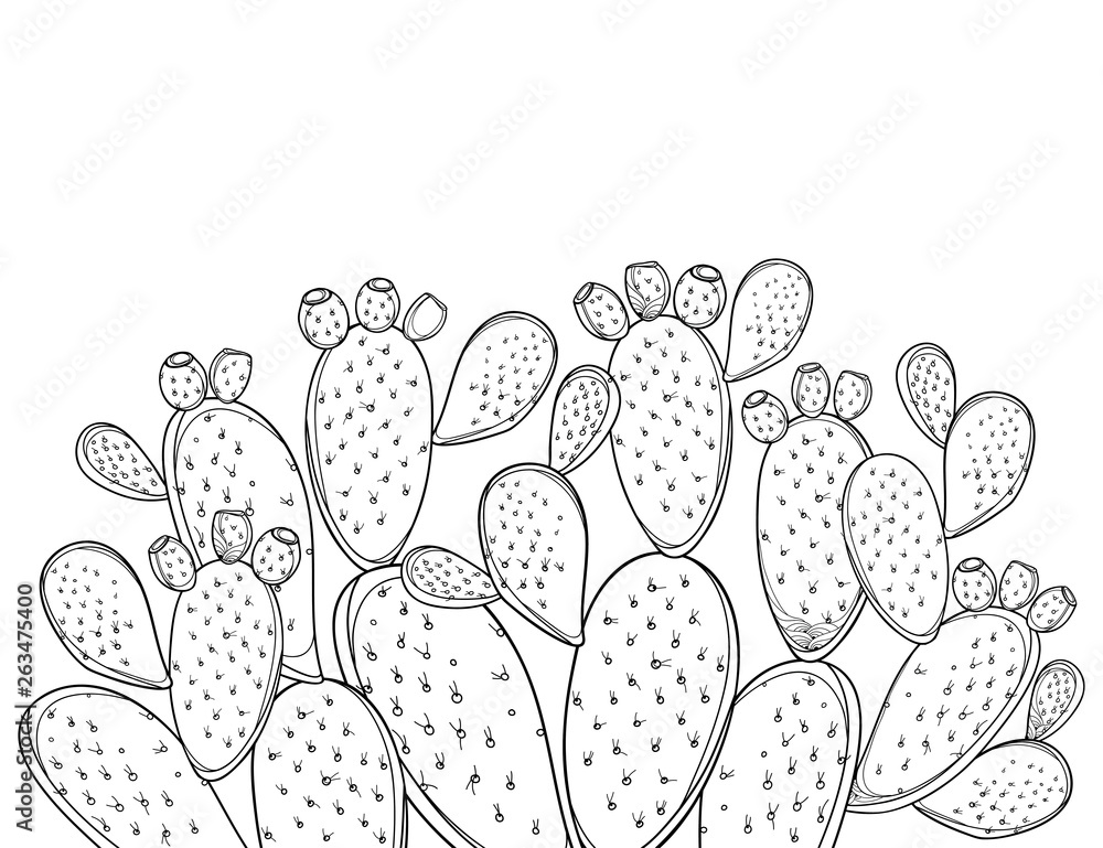 Prickly Pear Cactus Outline