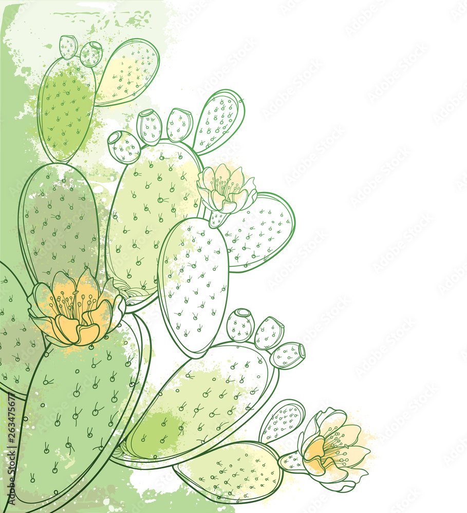 Fototapeta premium Corner bunch of outline Indian fig Opuntia or prickly pear cactus, flower, fruit and spiny stem in pastel green on the white background.