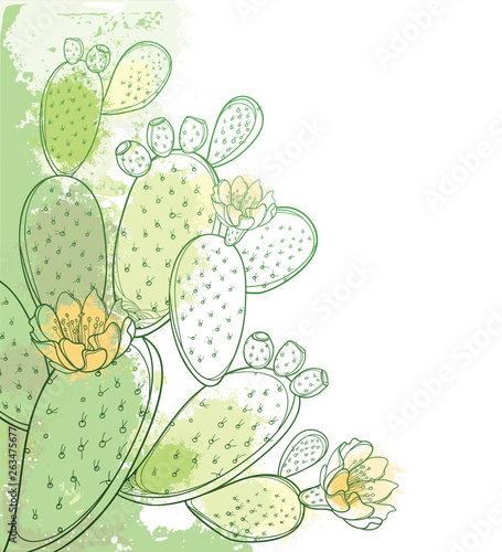 Corner Bunch Of Outline Indian Fig Opuntia Or Prickly Pear Cactus Flower Fruit And Spiny Stem In Pastel Green On The White Background Stock Vector Adobe Stock Corner Bunch Of Outline Indian Fig Opuntia Or Prickly Pear Cactus Flower Fruit And Spiny Stem In Pastel Green On The White Background Stock Vector Adobe Stock