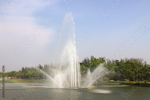 Beautiful green tree  plants  forest and flowers in the outdoor gardens and parks