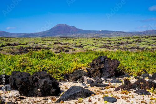 Spain, Lanzarote, Rural untouched green northern countryside around volcano corona in spring