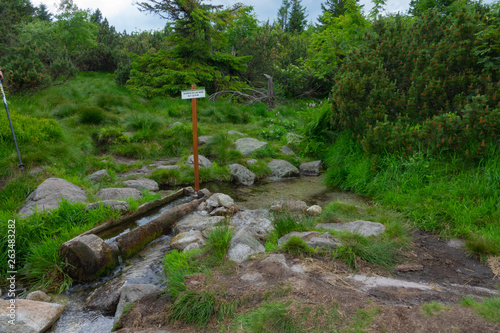 Source du Lac Noir, Balade sur les cretes des vosges