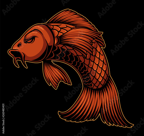 Vector illustration of koi carp