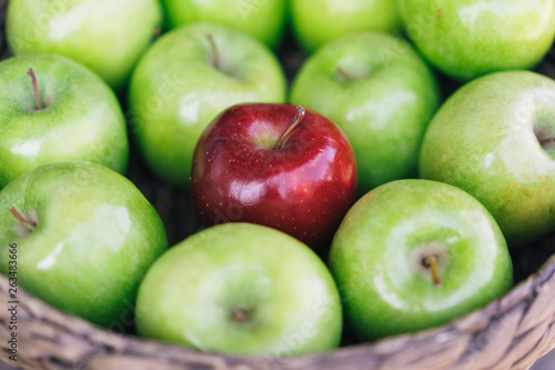 Closeup view of a healthy colorful green apples and one red apple in a basket and the tasty benefits of each. Be different