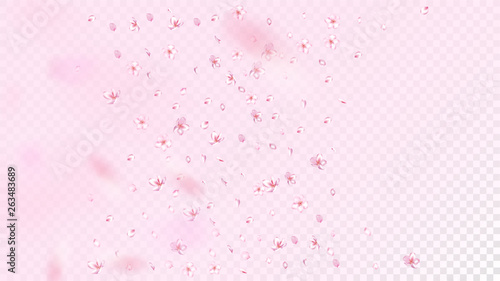 Nice Sakura Blossom Isolated Vector. Feminine Falling 3d Petals Wedding Pattern. Japanese Gradient Flowers Wallpaper. Valentine, Mother's Day Feminine Nice Sakura Blossom Isolated on Rose