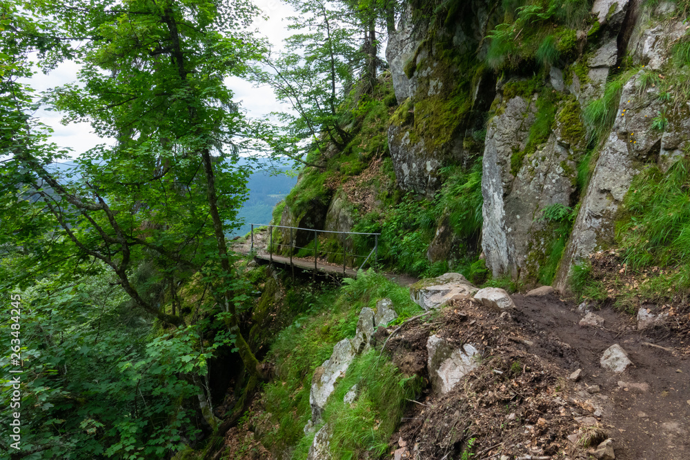 Sentier des Roches, Balade sur les cretes des vosges Sentier des Roches, Balade sur les cretes des vosges
