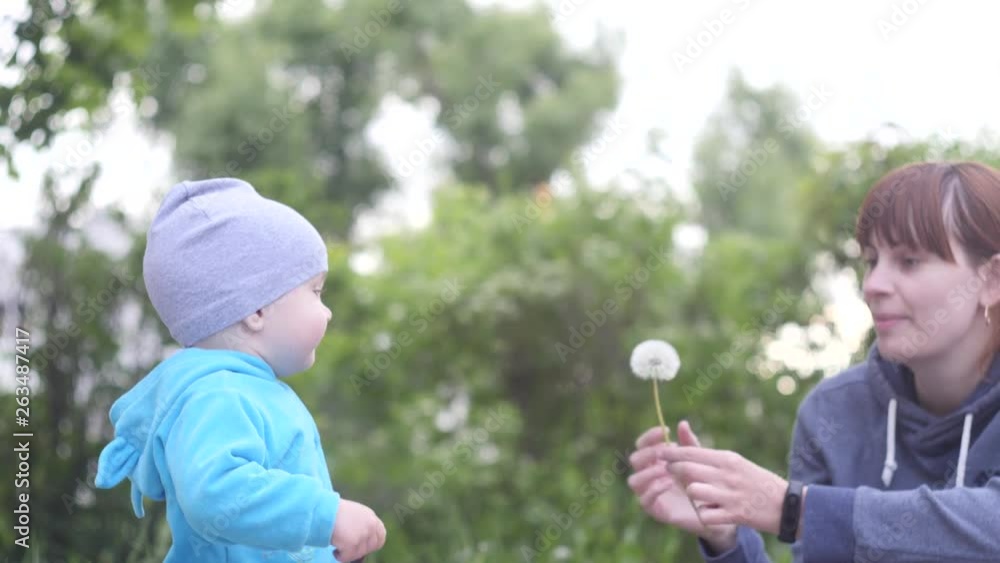 Young woman is playing with her little baby son in the city park in a summer cloudy day by blowing dandelion with trees on the background in 4K close up slow motion video. Young woman is playing with her little baby son in the city park in a summer cloudy day by blowing dandelion with trees on the background in 4K close up slow motion video.