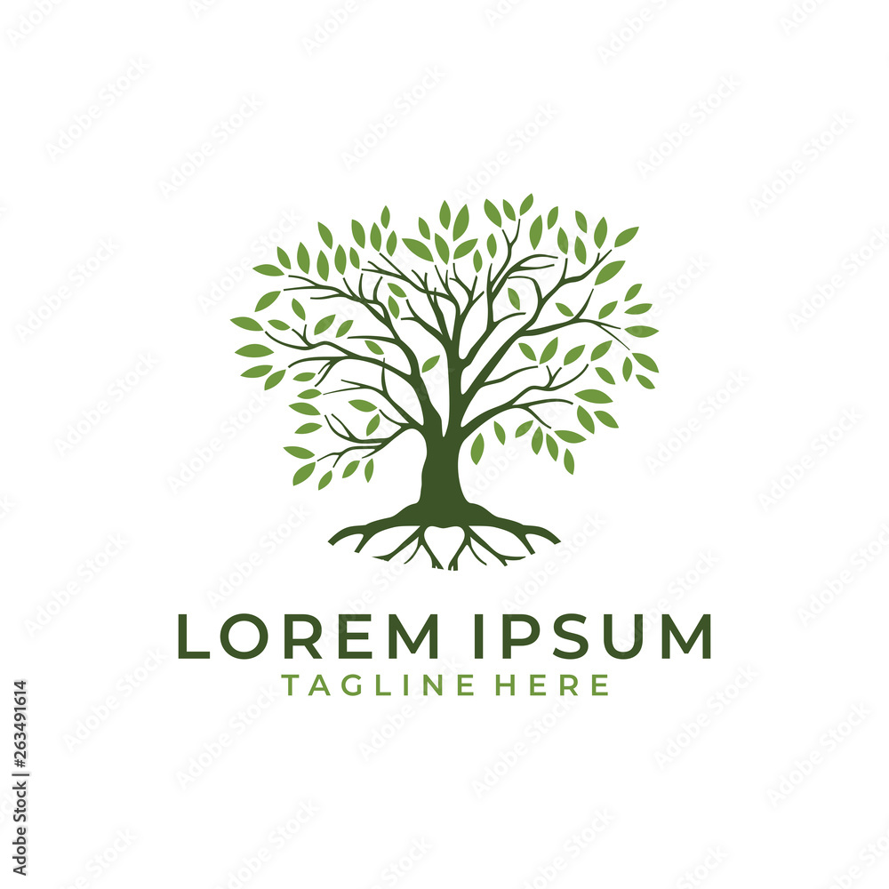 Obraz premium Tree Leaves Root