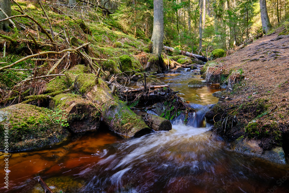 small waterfall in a stream surrounded by forest small waterfall in a stream surrounded by forest