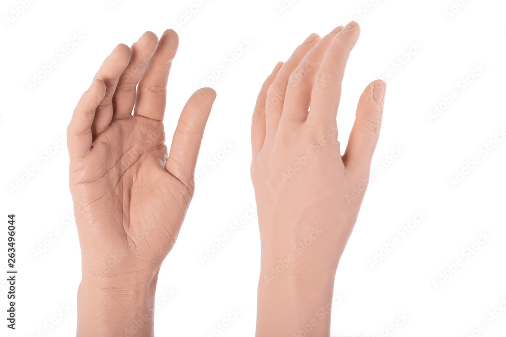 group silicone prosthesis hands, medicine pink implants group silicone prosthesis hands, medicine pink implants