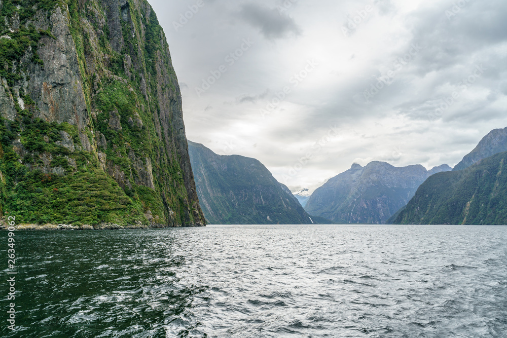 steep coast in the mountains at milford sound, fjordland, new zealand 63