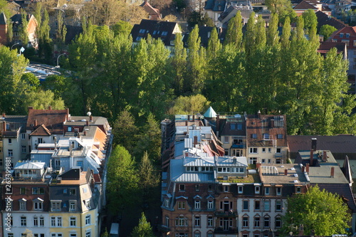 Original Schwarzwald, Green City, die Dächer der Stadt Freiburg im Breisgau Altstadt - Littenweiler, Deutschland, Europa photo