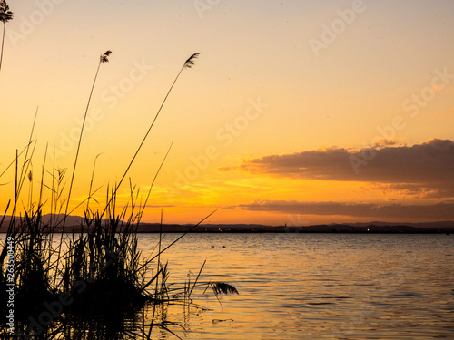 Sunset on the lake in Albufera  Spain
