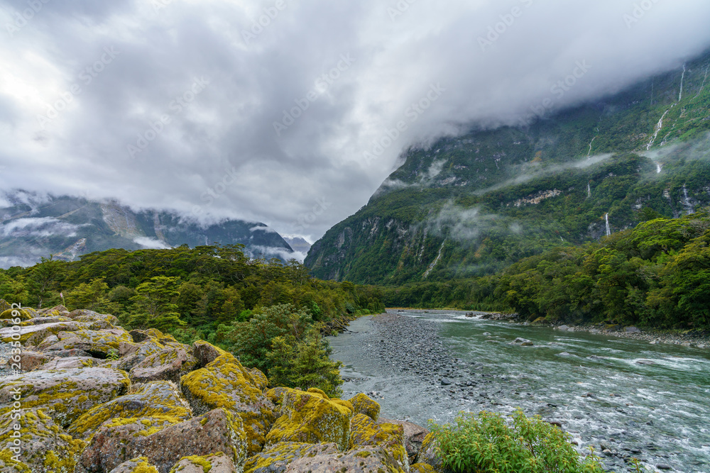 Obraz premium mountains in low hanging clouds, cleddau river, milford sound, new zealand 3