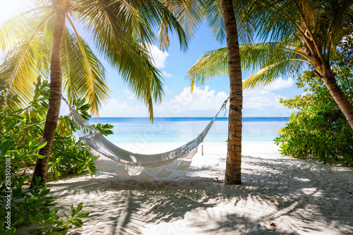 Fototapeta Naklejka Na Ścianę i Meble -  Empty hammock on a tropical beach landscape with palm trees and turquoise sea