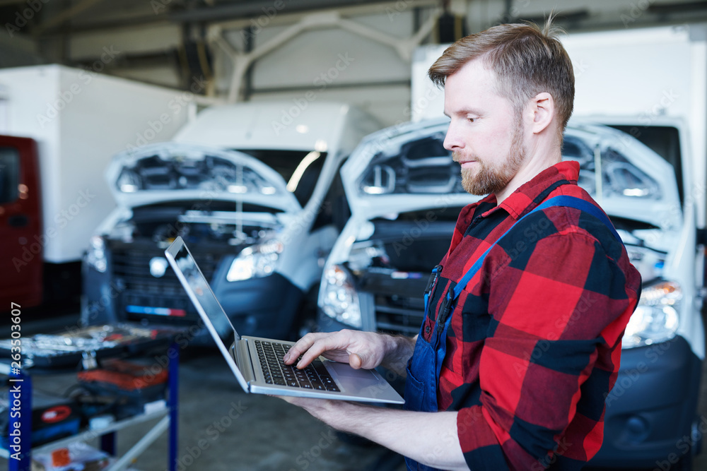 Mechanic browsing in the net Mechanic browsing in the net