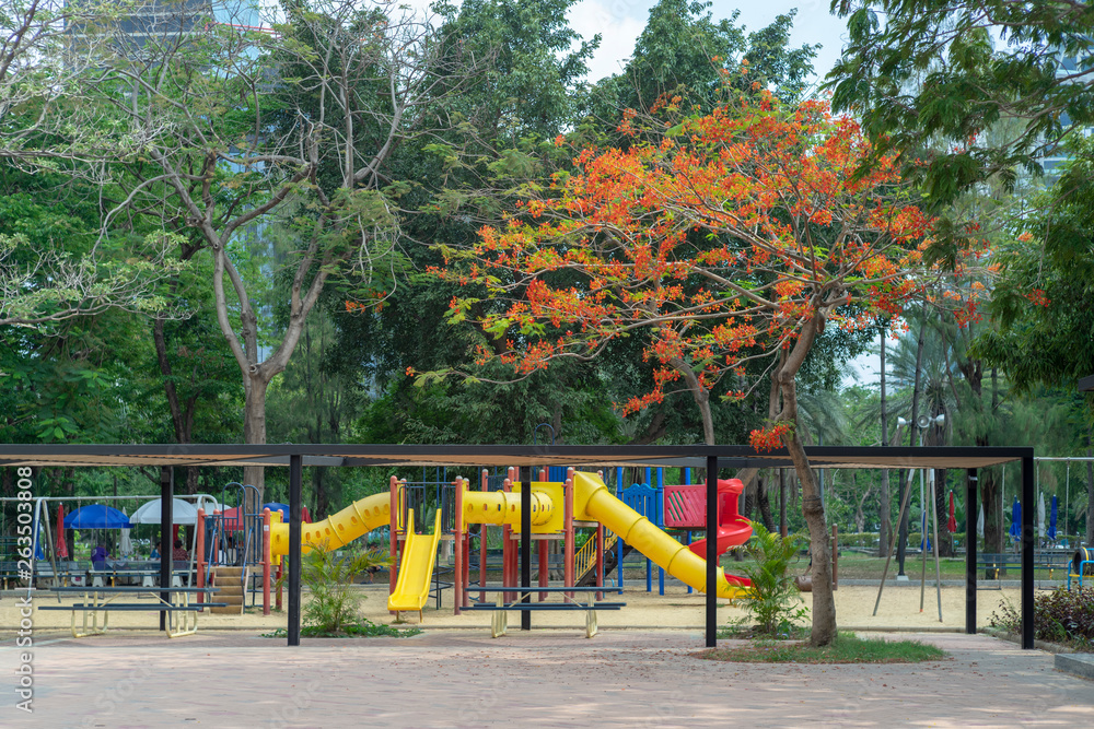 Image of green garden background in the park Image of green garden background in the park