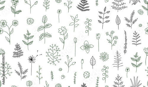Vector seamless pattern of black and white flowers, herbs, plants. Monochrome  pack of elements for natural design. Cartoon style.