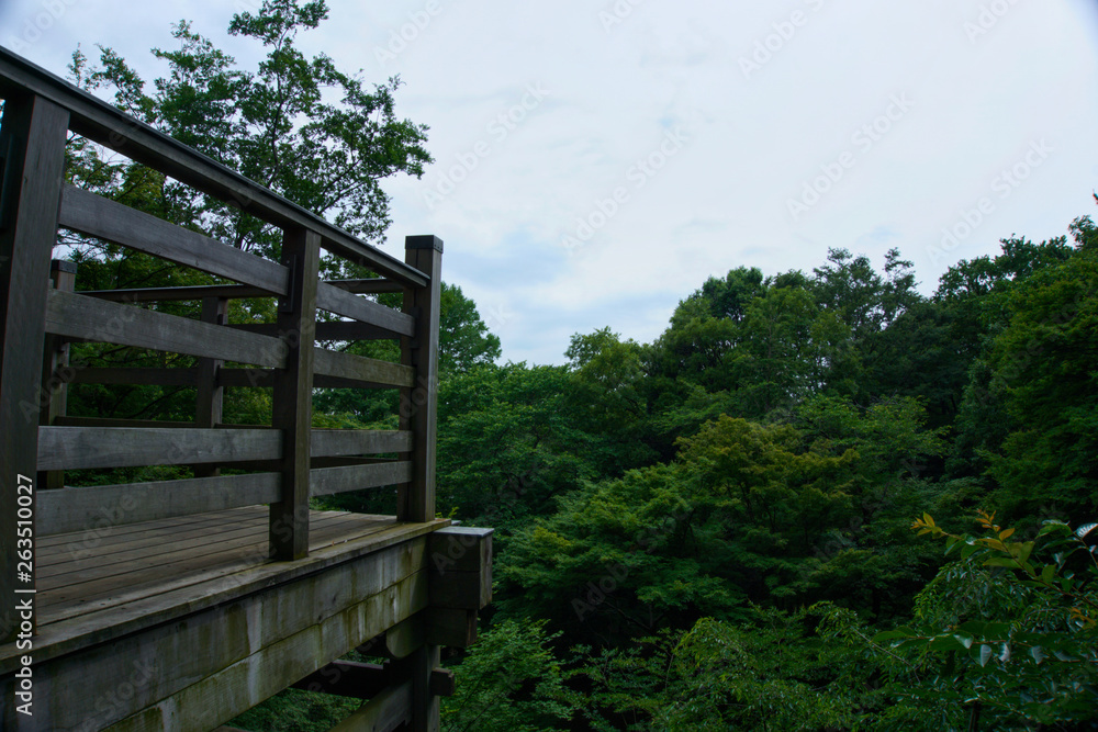 Wooden balcony in a park full of green leaf tree with blue sky view