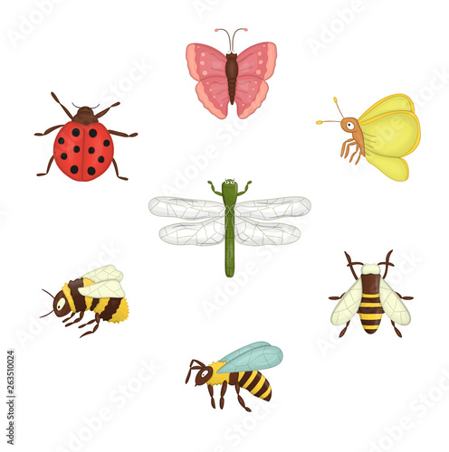 Vector set of colored insects. Collection of isolated on white background bee, bumblebee, moth, butterfly, ladybug, dragonfly, wasp, © Lexi Claus