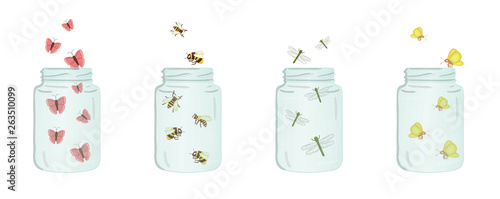 Vector illustration of glass jars with insects inside. Cute summer illustration. Save the moment. Moth, butterfly, bumblebee, ladybug, dragonfly picture