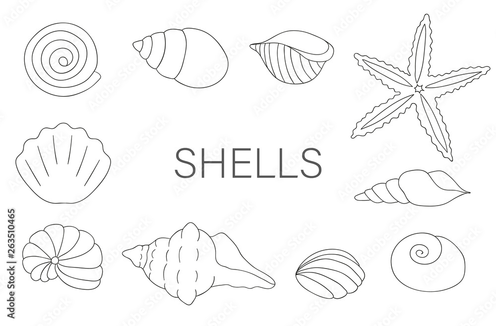 Vector black and white set of sea shells isolated on white background. Monochrome marine collection. Underwater illustration Vector black and white set of sea shells isolated on white background. Monochrome marine collection. Underwater illustration