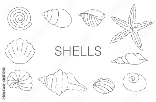 Vector black and white set of sea shells isolated on white background. Monochrome marine collection. Underwater illustration