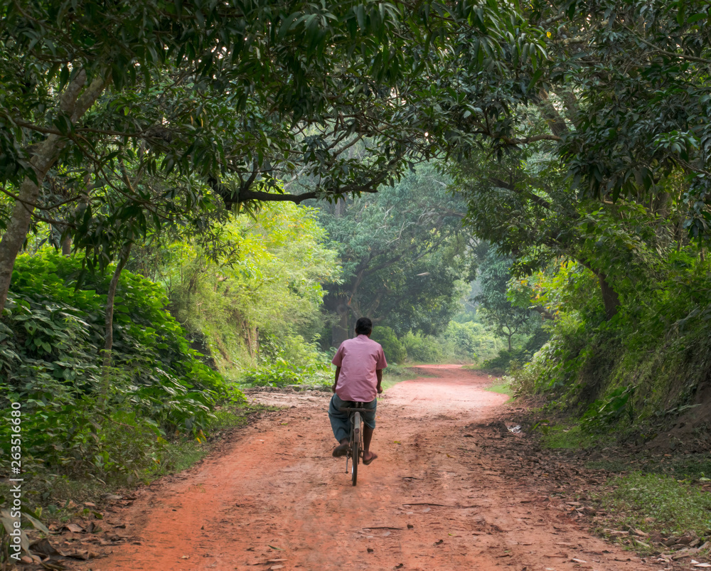 A man going by bicycle through a forest path A man going by bicycle through a forest path