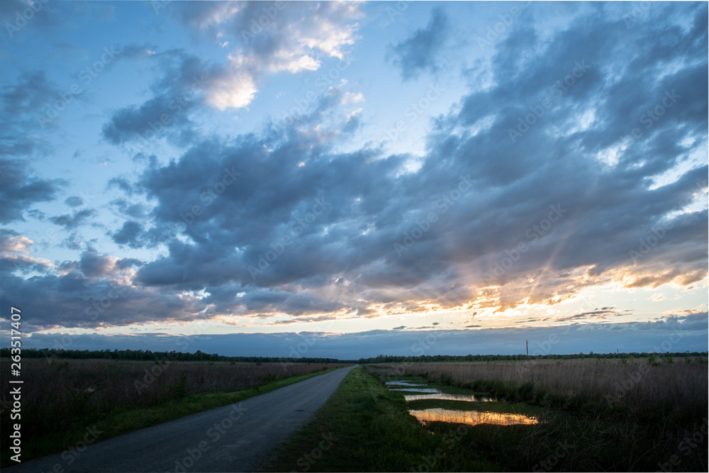 A road runs to the horizon in a marsh and swampy wetlands at sunset
