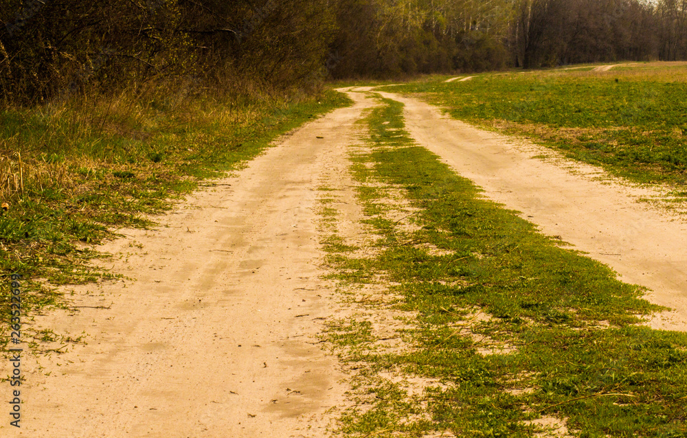 Charleston SC Dirt Road Forest Botany Bay Plantation Spanish Moss Edisto Island Deep South Live Oak Trees Charleston SC Dirt Road Forest Botany Bay Plantation Spanish Moss Edisto Island Deep South Live Oak Trees