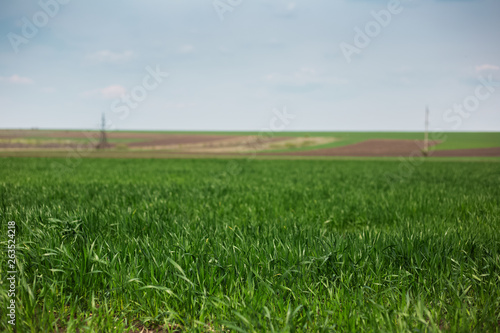 Moldavian agriculture fields in day of spring.