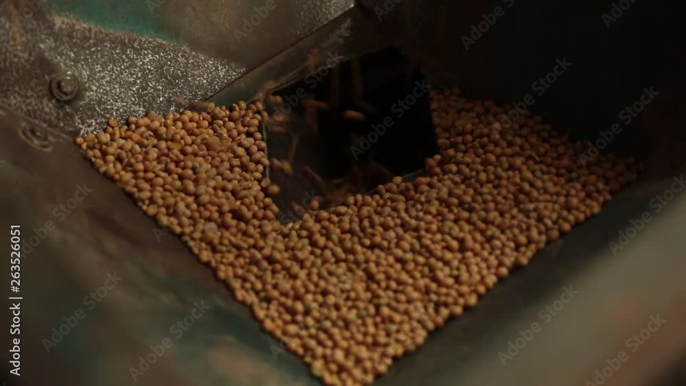 Soybean in a Factory
Soybean on a machine Soybean in a Factory
Soybean on a machine
