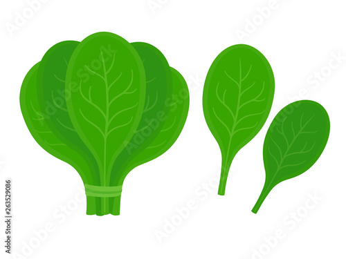 Fresh spinach leaves