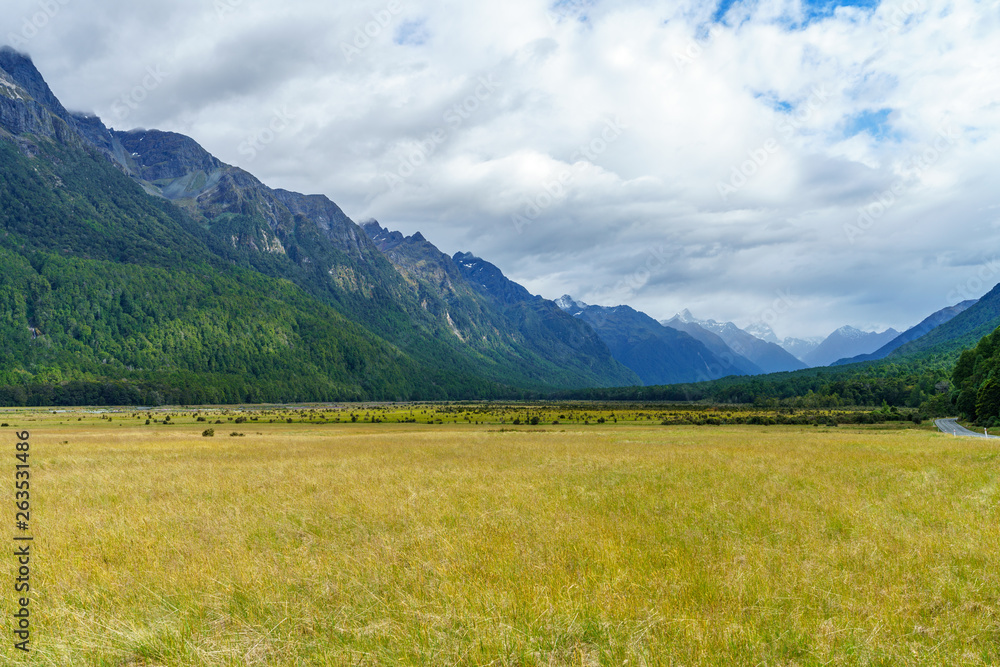 golden grass in a valley with high mountains, new zealand