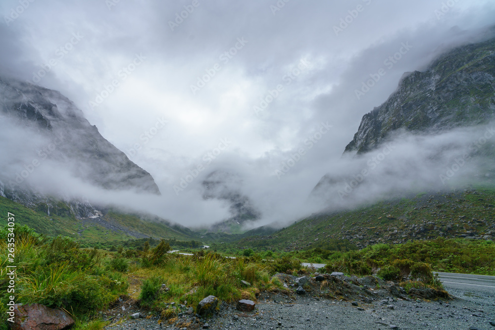 fog in the valley near milford sound, southland, new zealand 1