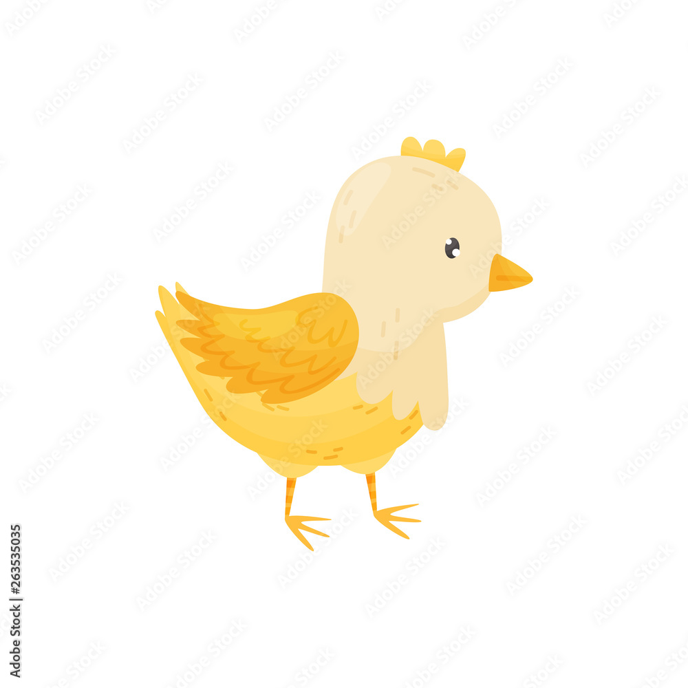 Baby Chick on a white background. Vector illustration.