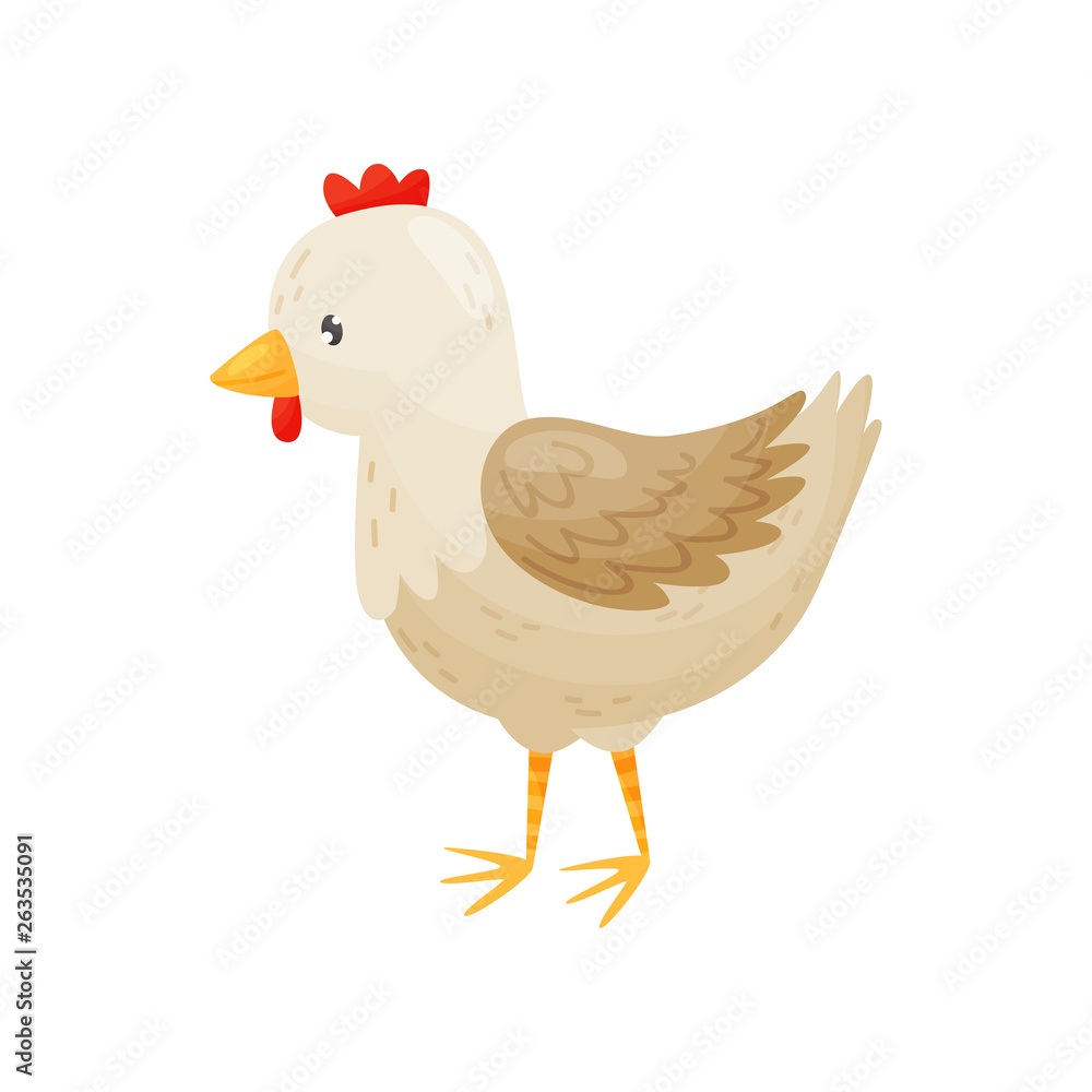 Vector Illustration of cute cartoon hen isolated on white background. Vector Illustration of cute cartoon hen isolated on white background.