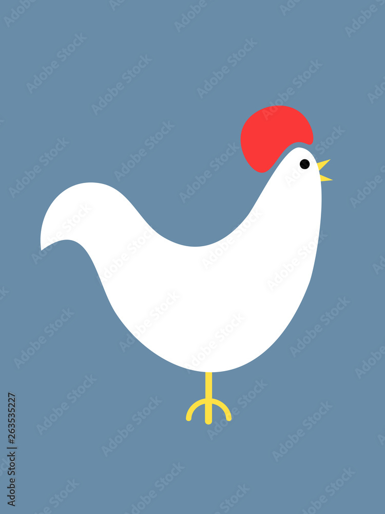 White chicken on a blue background