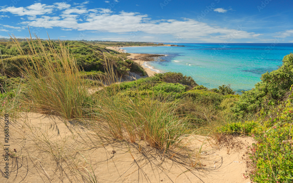 Summer beach.Torre Guaceto Nature Reserve: panoramic view of the coast from the dunes.Italy (Apulia). Mediterranean maquis: a nature sanctuary between the land and the sea. Summer beach.Torre Guaceto Nature Reserve: panoramic view of the coast from the dunes.Italy (Apulia). Mediterranean maquis: a nature sanctuary between the land and the sea.