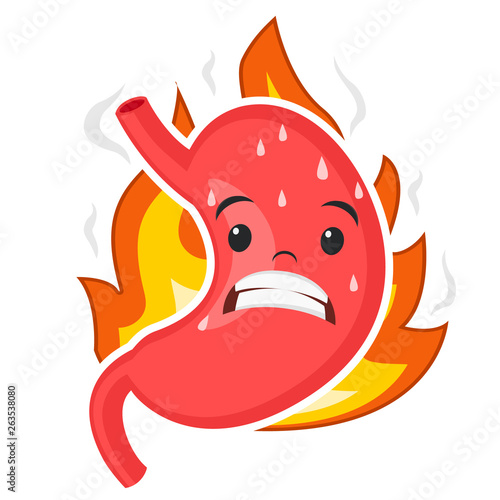 Stomach grimaces from the pain of heartburn, on a white. Character
