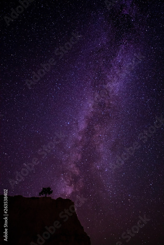 A lone isolated tree stands watch in a plateau in as the stars of the milky way are strewn across the sky. The vigilant tree acts as a sentinel guarding the mystical secrets of the ancient in Bryce